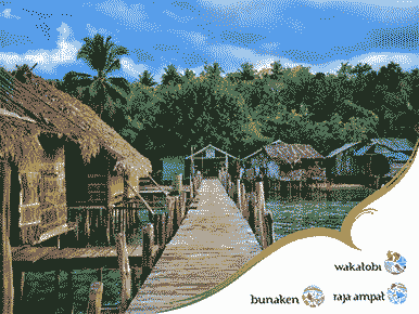 Wakatobi-Bunaken-Rajaampat